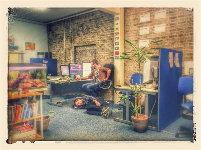 Dovetail office oddness